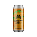 Vault City Wasteland Imperial Vault Dweller Sour 8.4% 440ml can